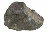 Chelyabinsk Meteorite ( g) - Witnessed Fall #263523-1